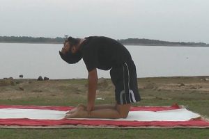 My Awesome Video